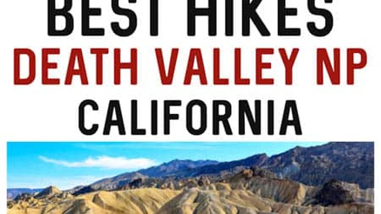 Two mint chocolate milkshakes with whipped cream and green sprinkles.