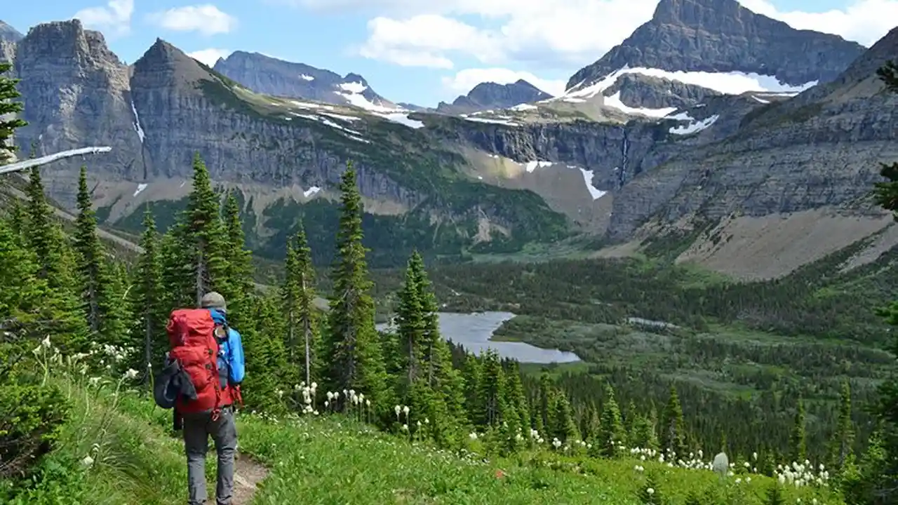 Close up on a plate of mashed potatoes, topped with baked pork chops with cream of mushroom soup, and a side of green beans.