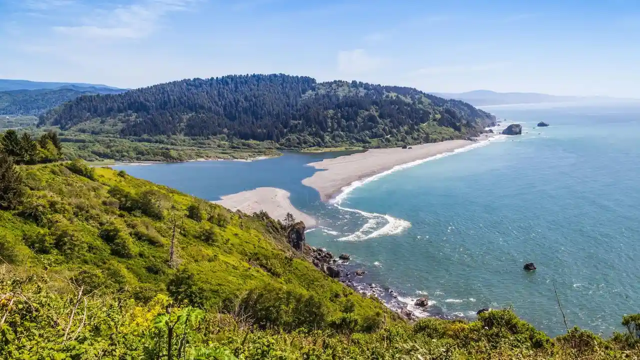 Close up on a plate of mashed potatoes, topped with baked pork chops with cream of mushroom soup, and a side of green beans.