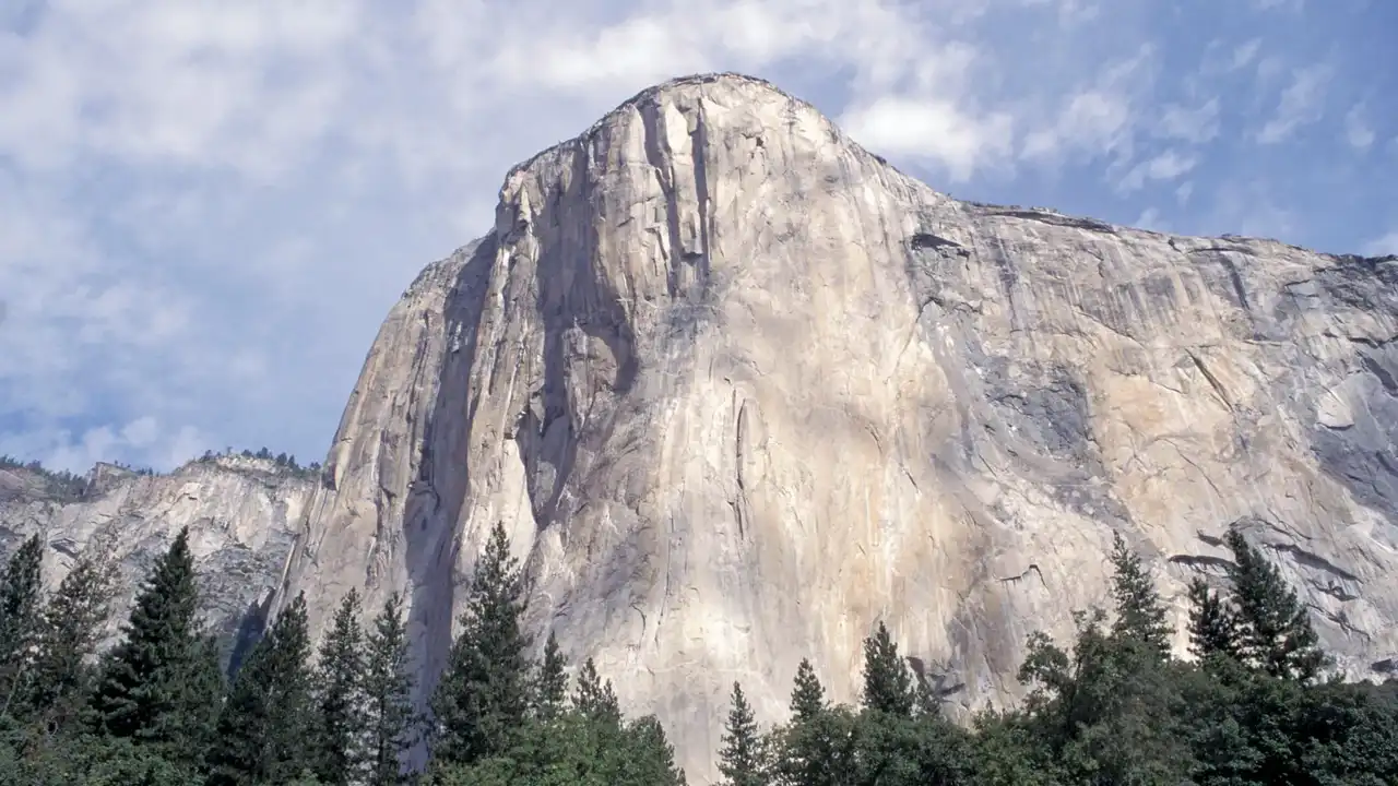 Close up on a plate of mashed potatoes, topped with baked pork chops with cream of mushroom soup, and a side of green beans.