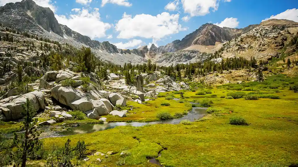 Close up on a plate of mashed potatoes, topped with baked pork chops with cream of mushroom soup, and a side of green beans.