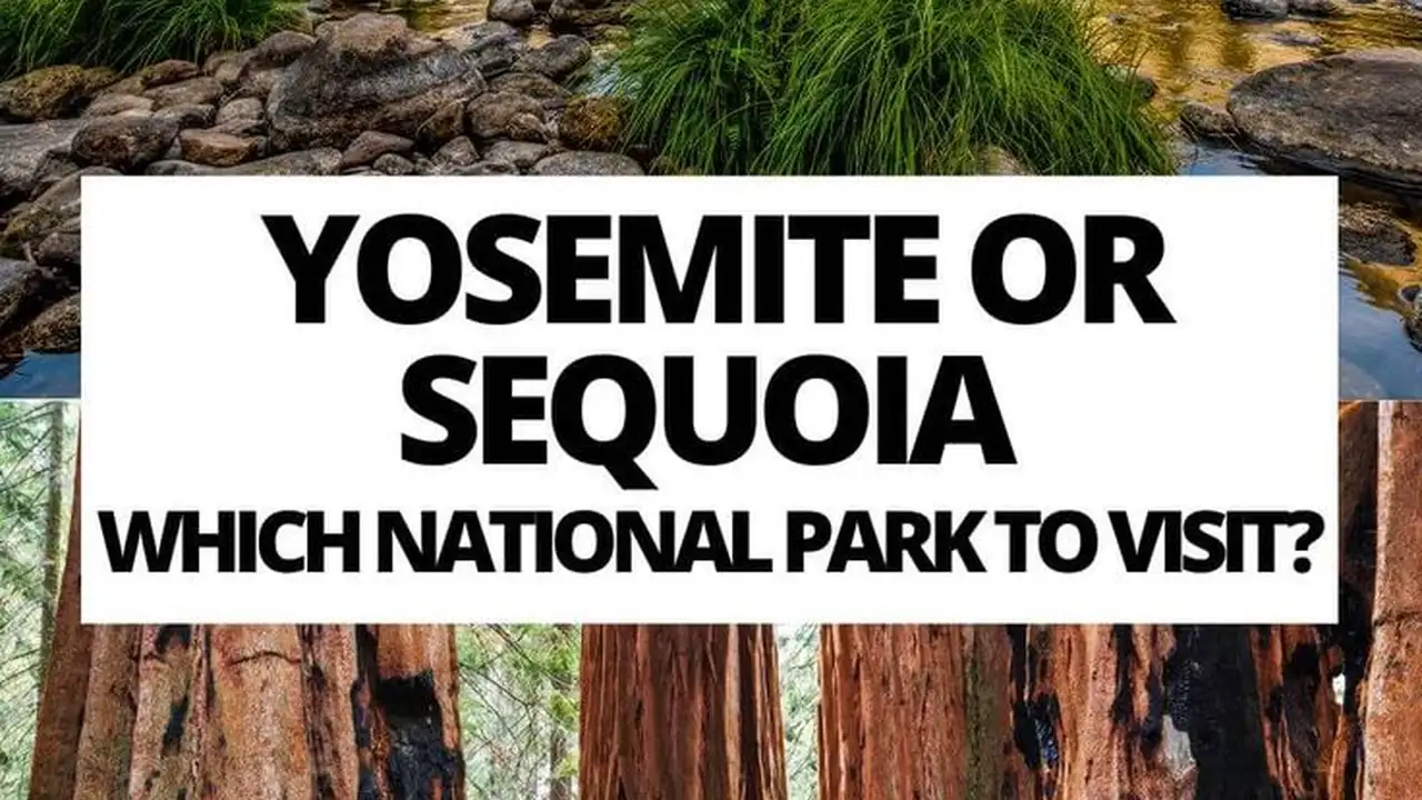 Close up on a plate of mashed potatoes, topped with baked pork chops with cream of mushroom soup, and a side of green beans.