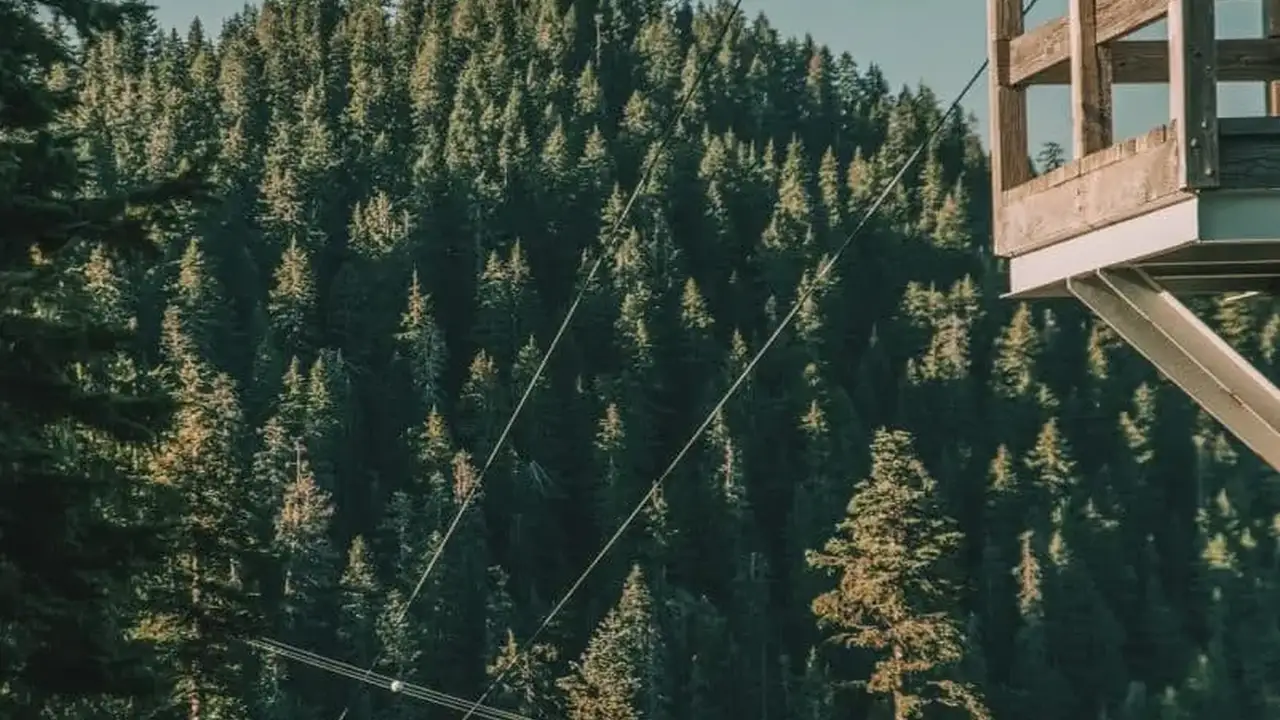Close up on a plate of mashed potatoes, topped with baked pork chops with cream of mushroom soup, and a side of green beans.